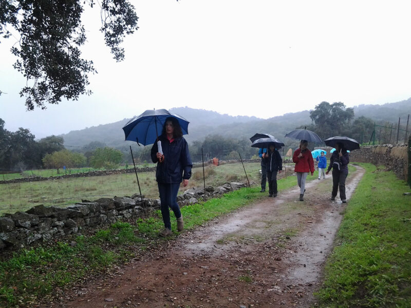 Puente de los Santos 2015
