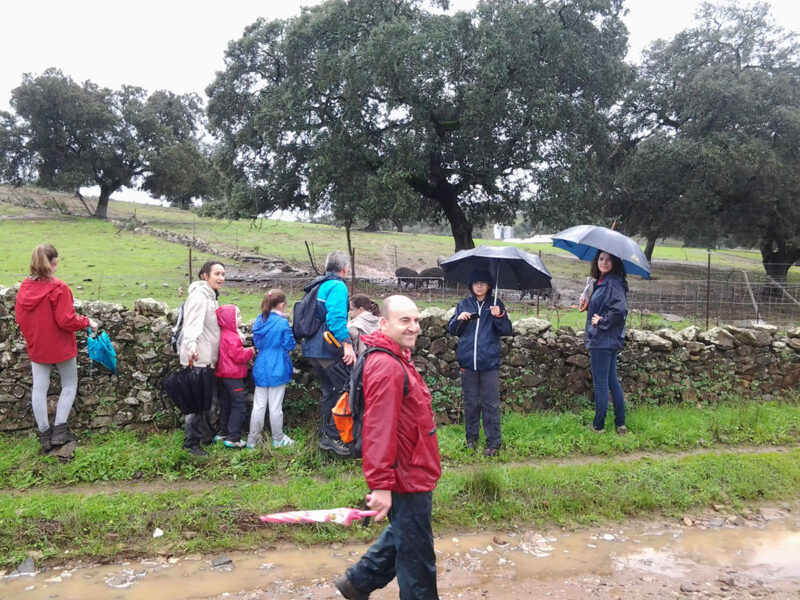 Puente de los Santos 2015