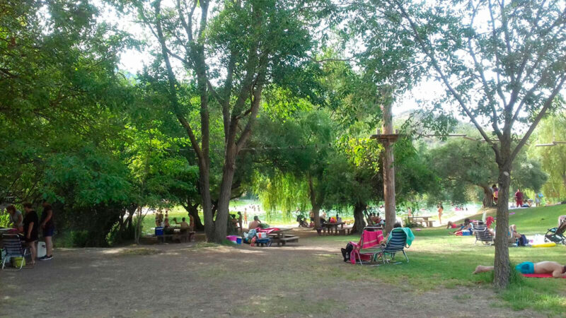 Olvera 2017
