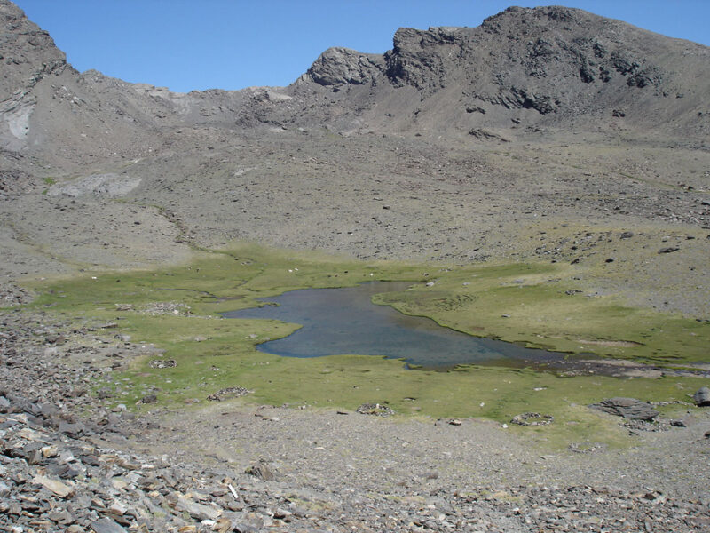 Mulhacén 2005