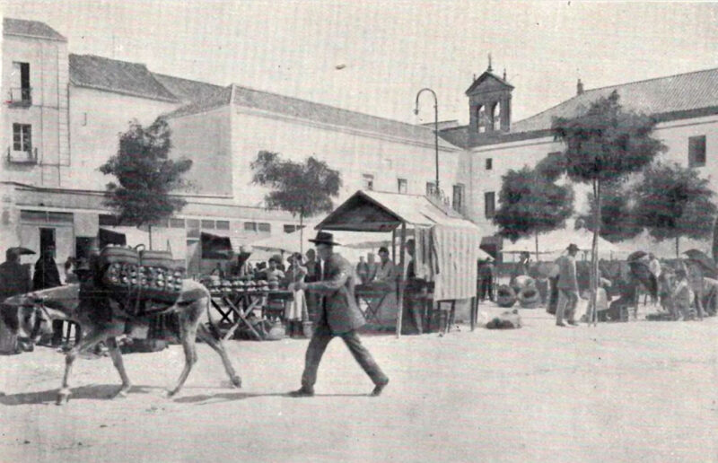 Recuerdo de Montilla