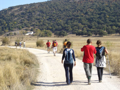 Cabra - Sueros 2006
