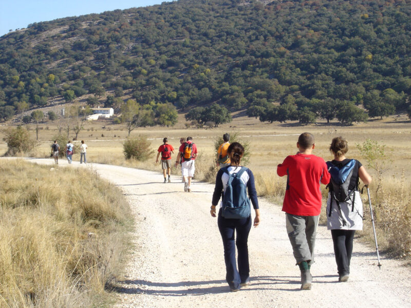 Cabra - Sueros 2006