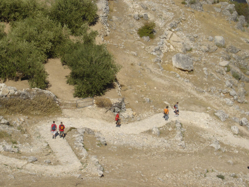Cabra - Sueros 2006